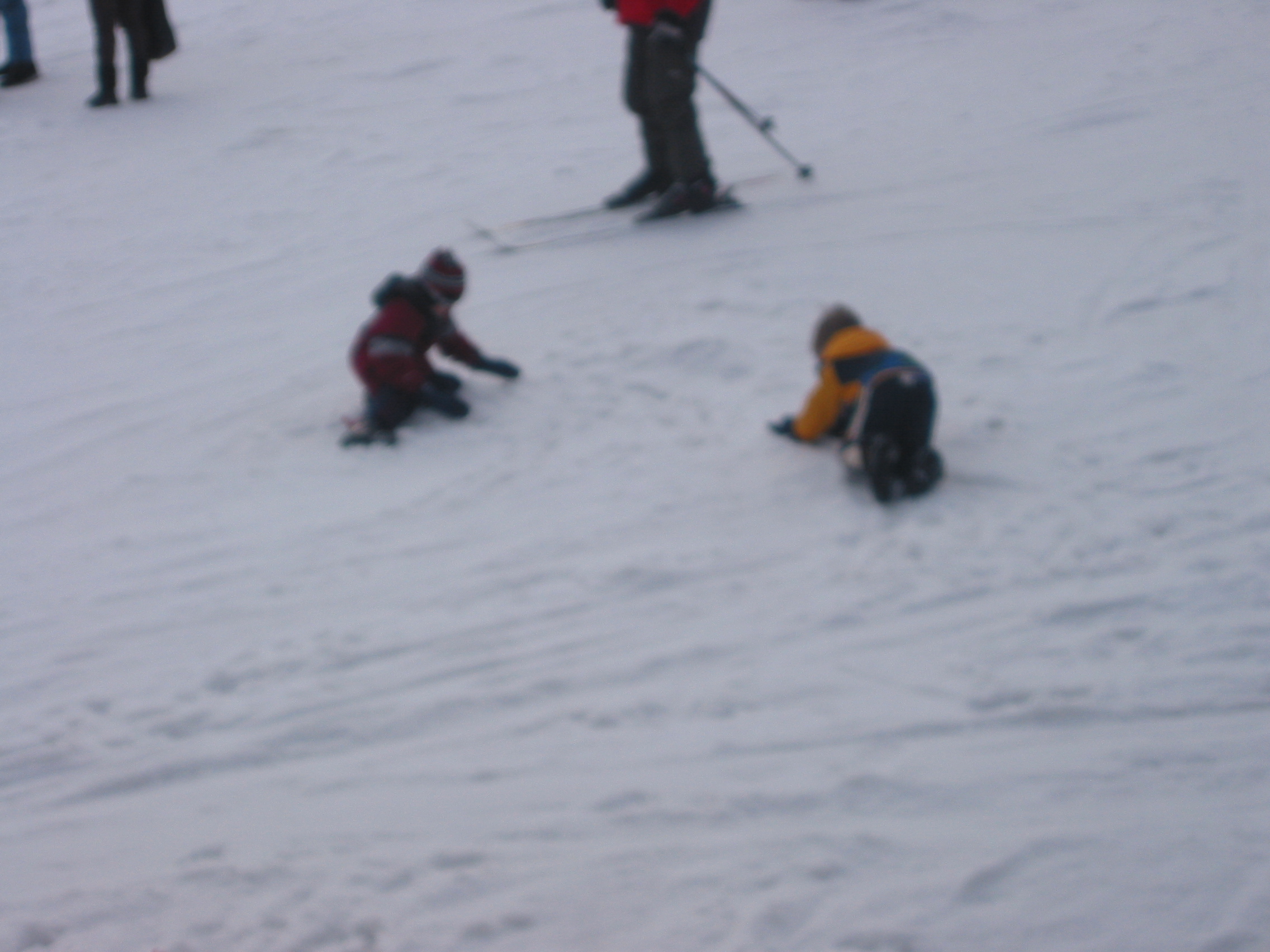 IMG_1628.JPG